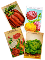 20s フランス 4set 膨満な花々と野菜たち 種子袋用ラベルk アンティーク