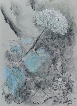 西美紀 ｜【紫陽花】パステル画