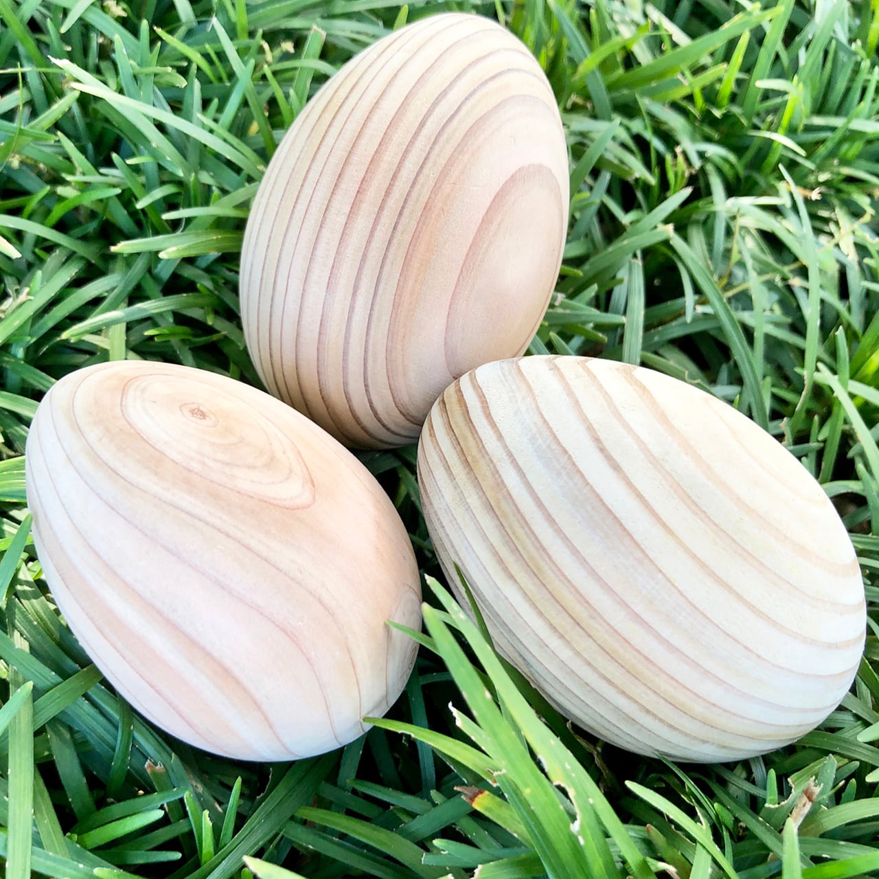 木のタマゴ 5個セット | パラダイスデザイン - 宮崎から、世界に一つ