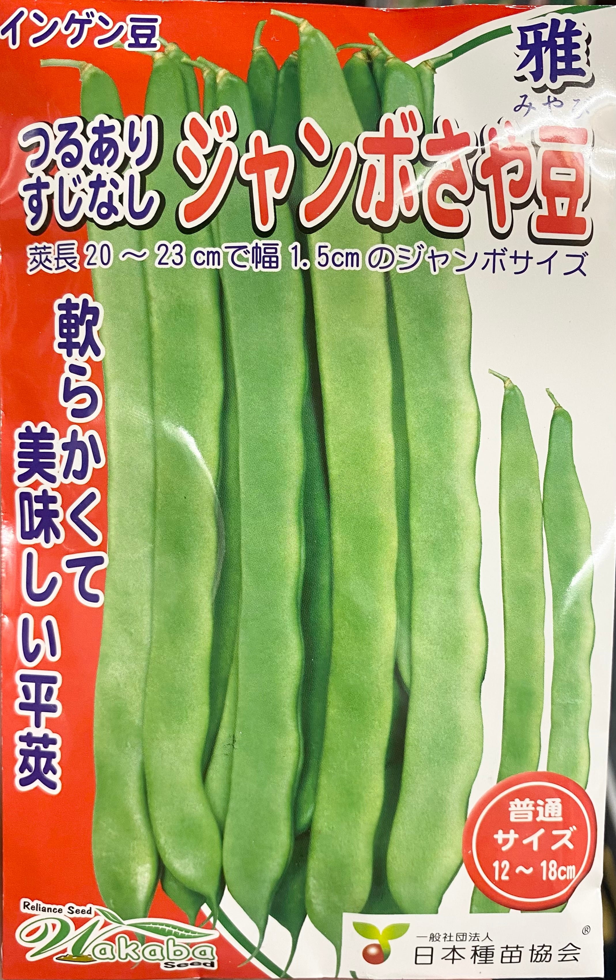 野菜種子約20粒「ジャンボさや豆 雅」 | wakabaseed