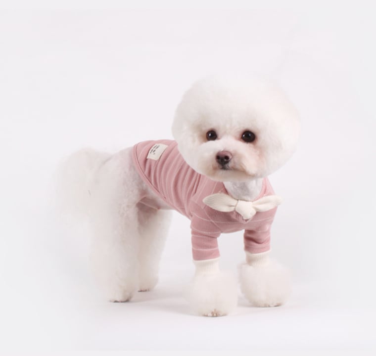 スカーフストライプTシャツ S~XL / 犬の服 犬服 ペット洋服 ドッグウェア ペット用品 小型犬 中型犬