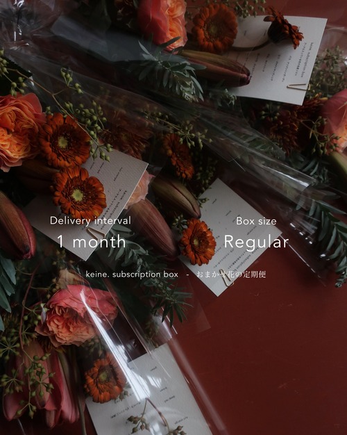 1ヶ月ごとに届く定期便 - Regular type.