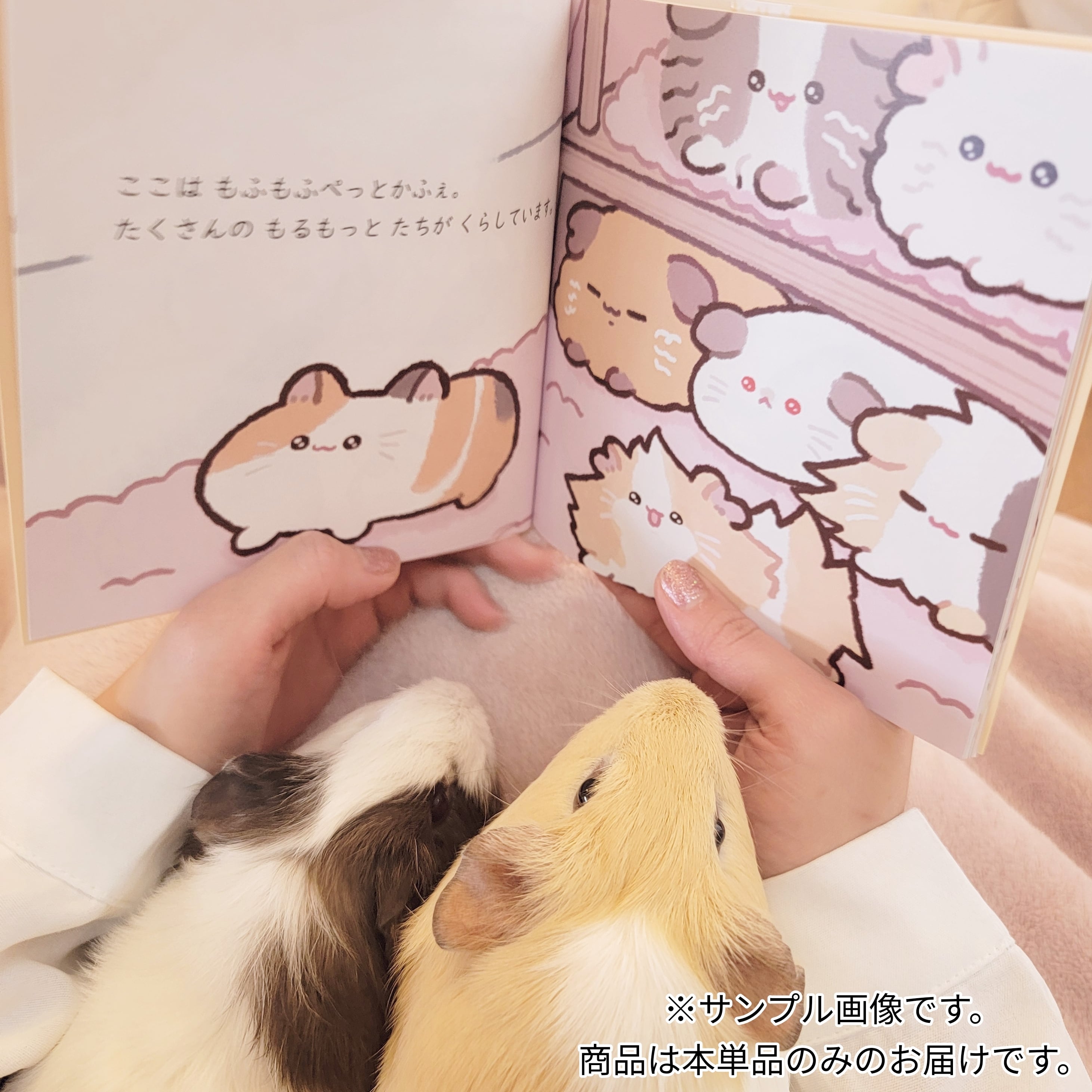 もるもっとの みたらしとおいしいみかん（絵本） | mofucafe