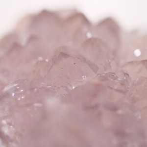 フラワー アメシスト アメジスト / 原石 標本