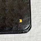 BALLY　ショルダーバッグ　オーストリッチ　ハンドバッグ　ヴィンテージ　17acd25