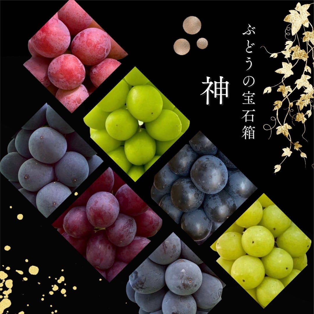 6　ぶどうの宝石箱　神セブン　粒1kg ぶどうの宝石箱