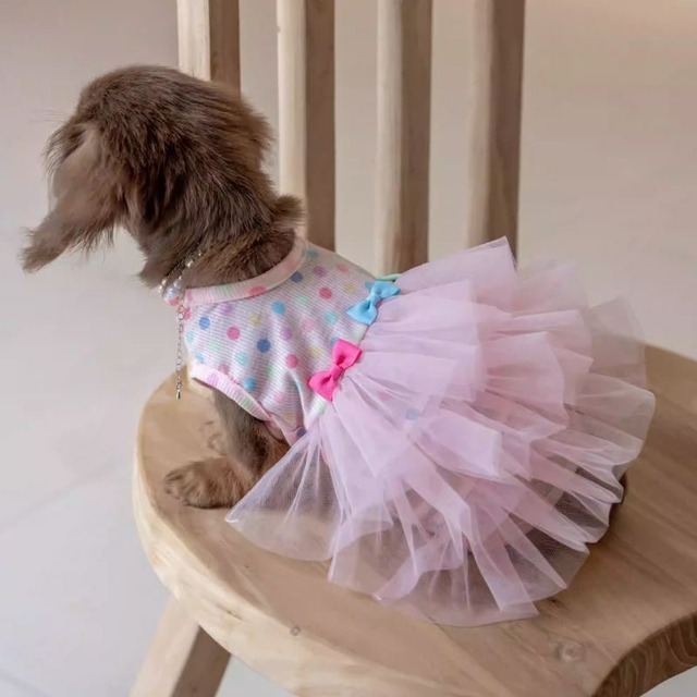 【予約】ダックス用カラフルドットとチュールスカートのドレス　犬服　01137