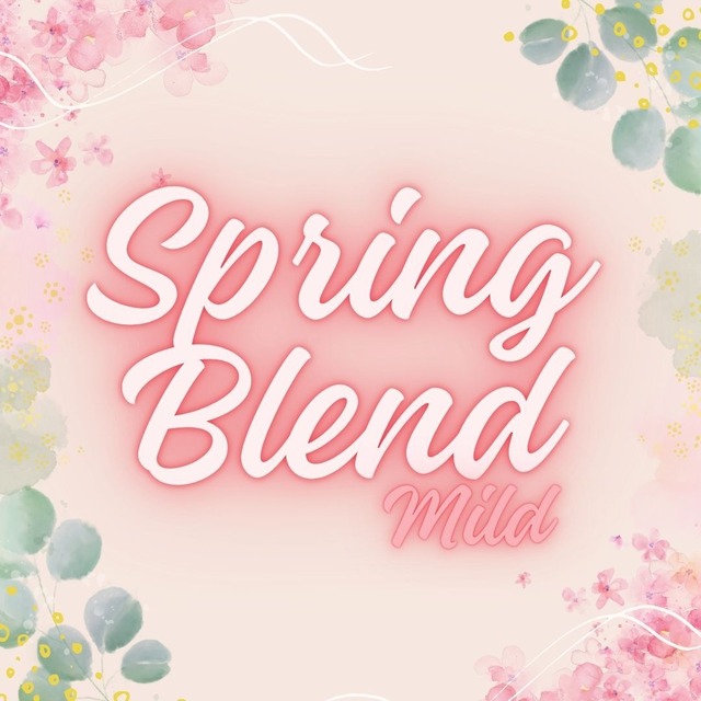 スプリングブレンド マイルド／深煎り 100g