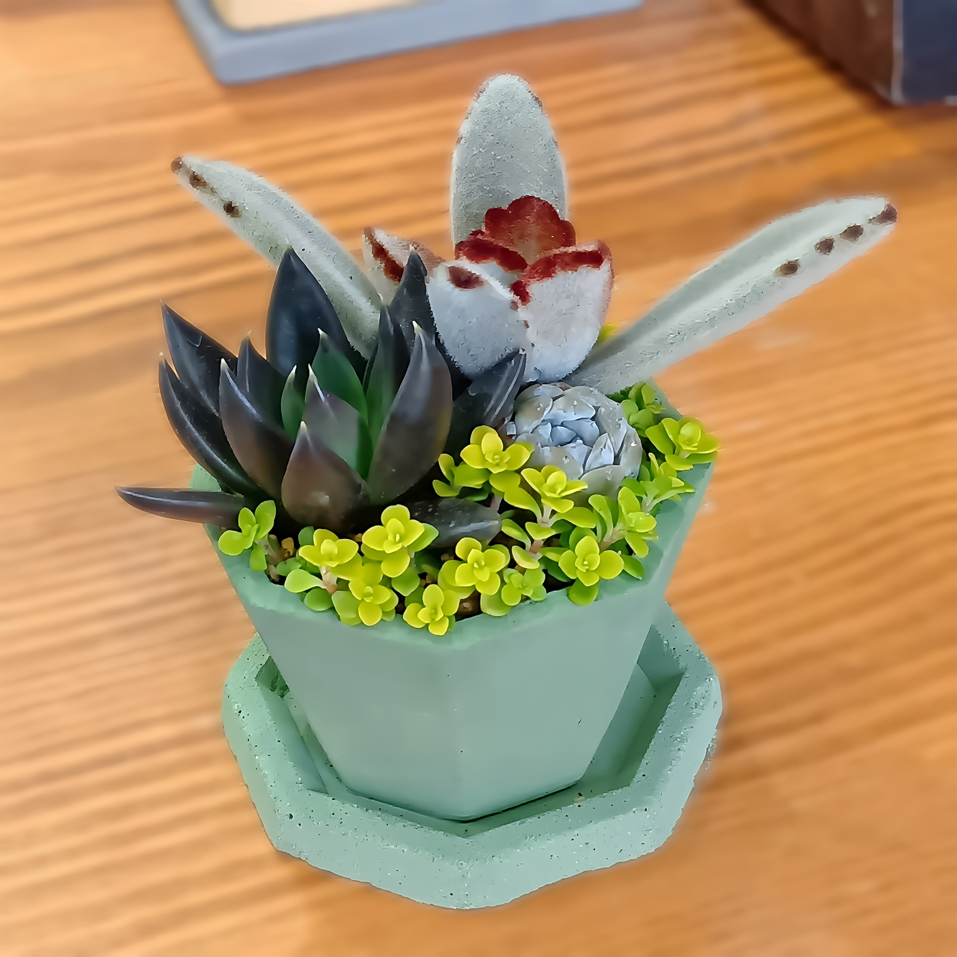 コンクリートプランター 八角形 極小 セット ガーデニング インテリア