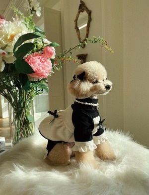 即納【smolbite】Angela top