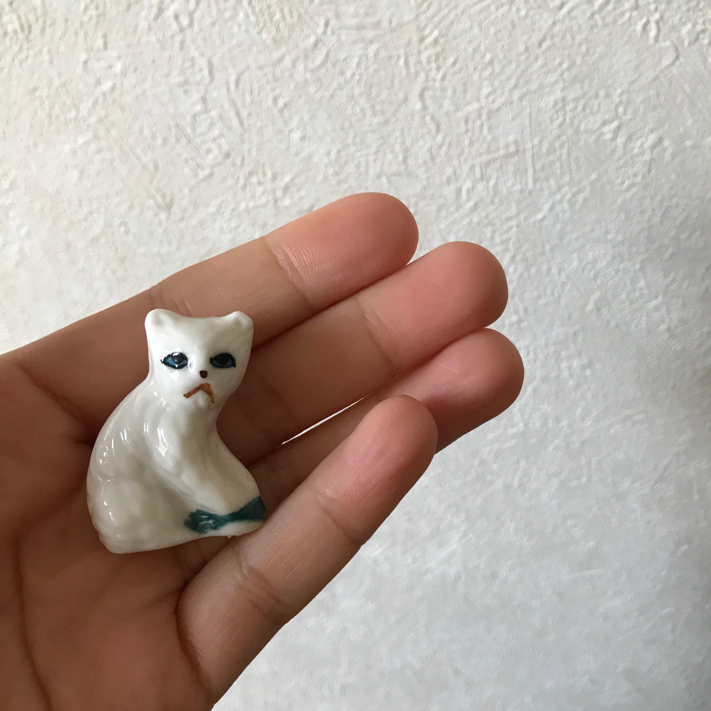 睨みをきかせたネコ