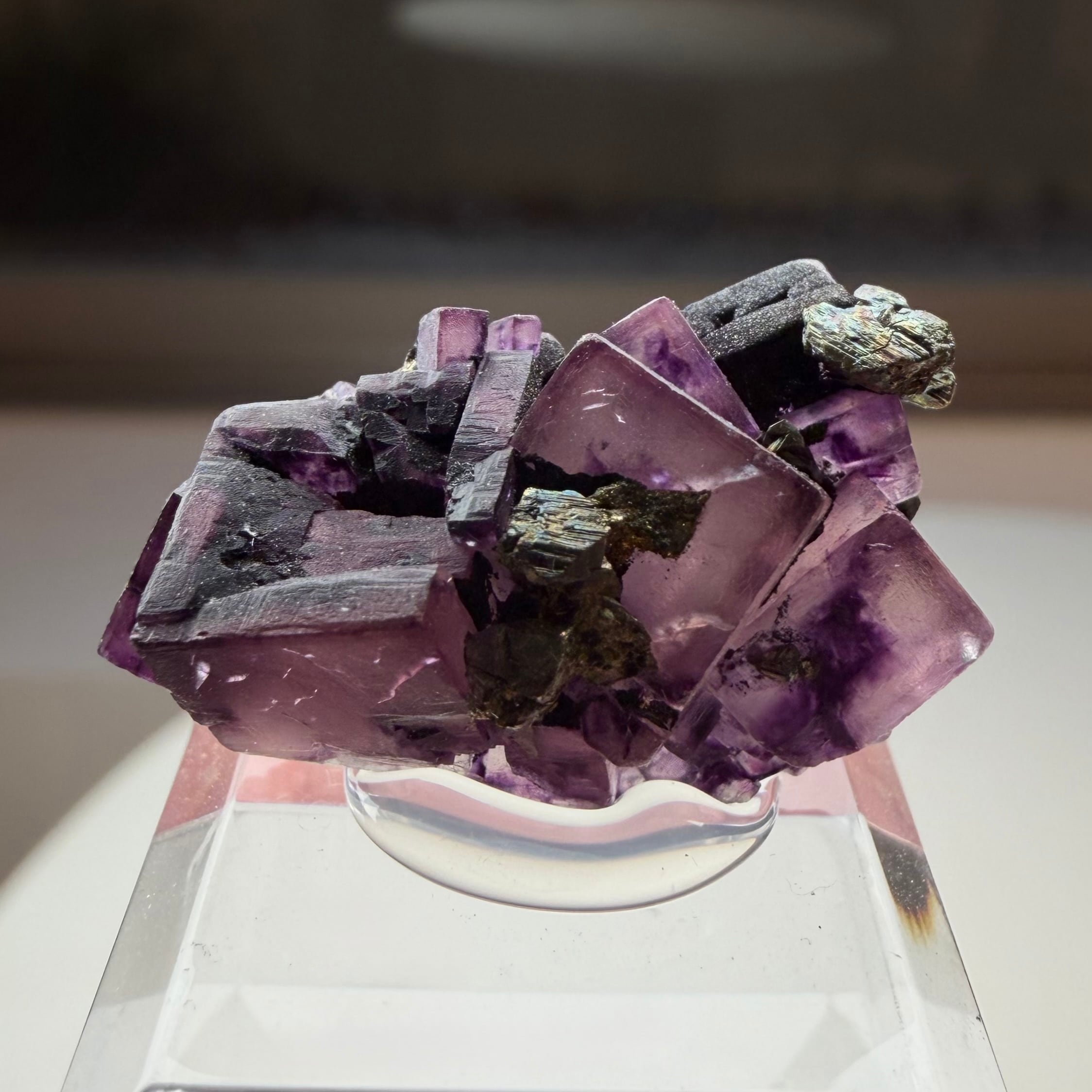 Chalco Pyrite | PEANUTS MINERALS