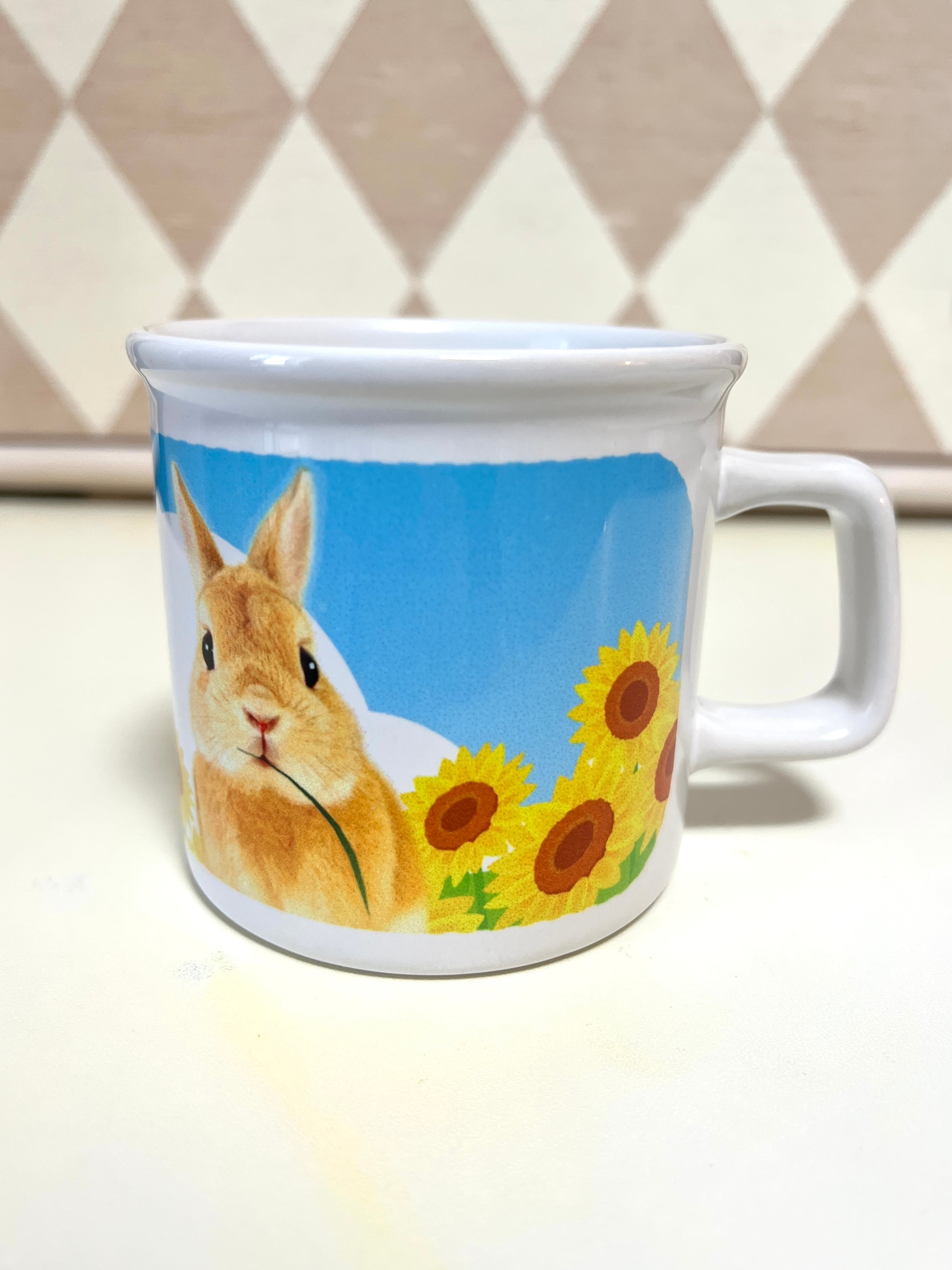 うさぎ雑貨 モキュモキュファクトリー |うさぎのモキュ様