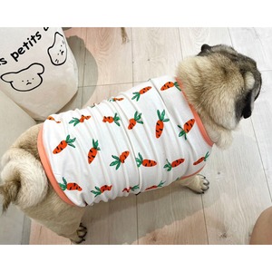 Dog wear  -carrot-    　　dogw-186