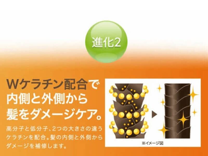 ヘナ白髪染め Mottoボタニカラーシャンプー＆トリートメントセット