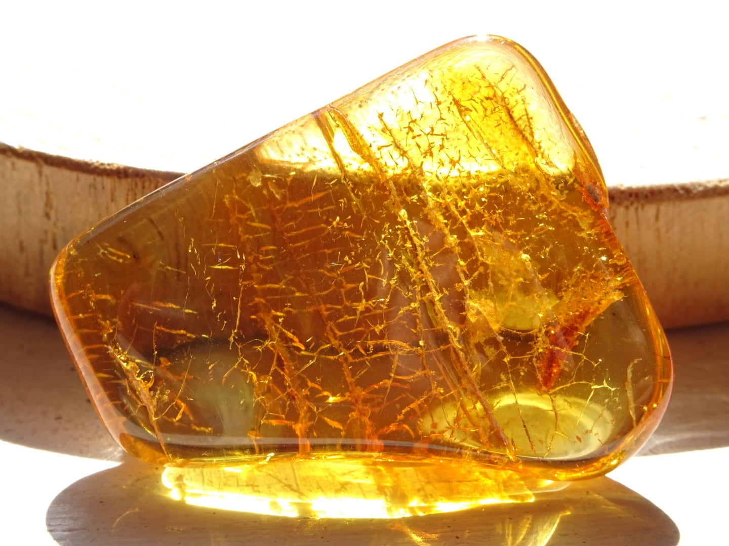 バルト海の琥珀(バルティックアンバー)No.1 ~蜜色の宝もの~