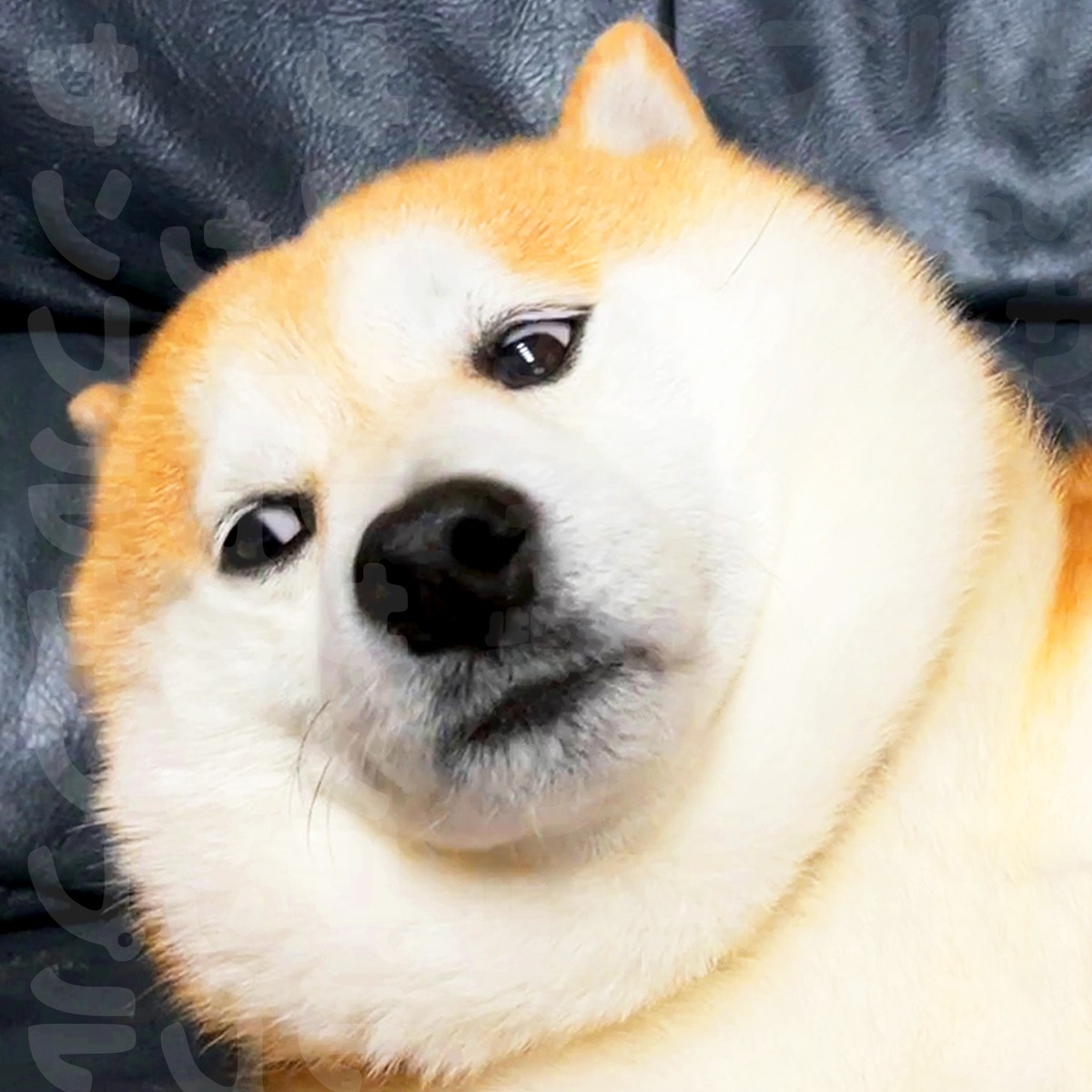 7a34d2673488453226f2b33cc6051b