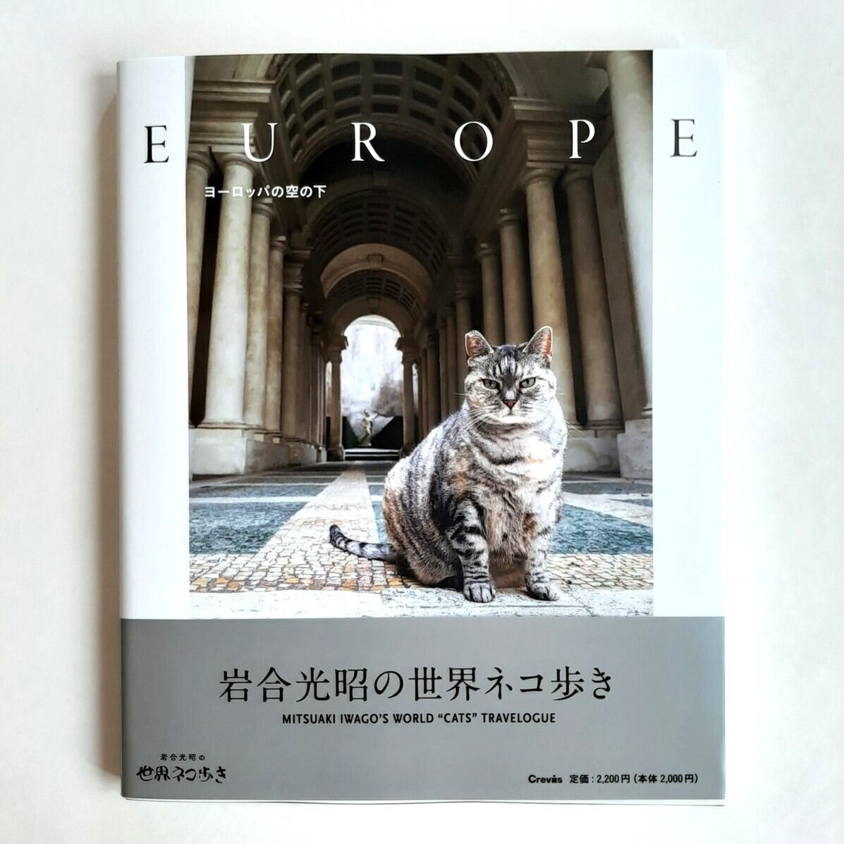 岩合光昭 | ねこのみち