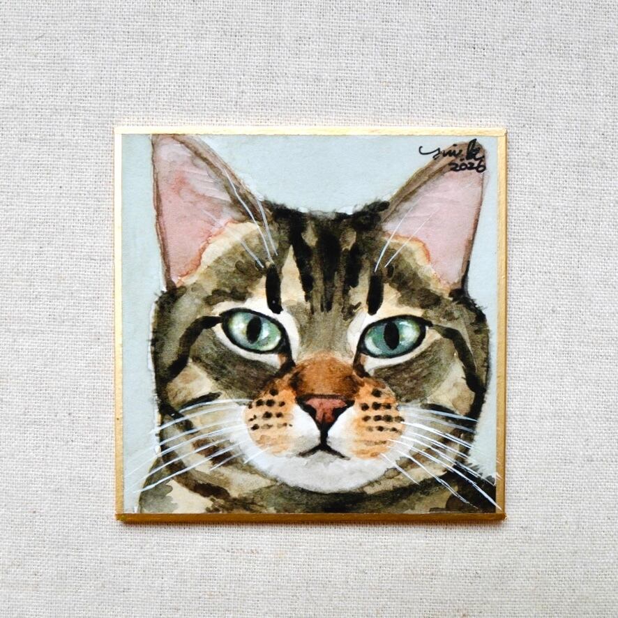 猫の絵 386 水彩画 原画 キジ白 | Forest cat