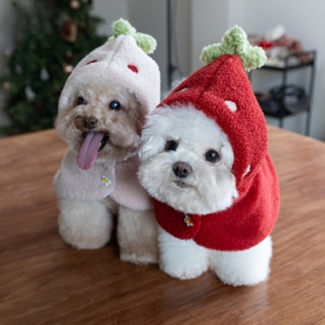 strawberry fluffy cape