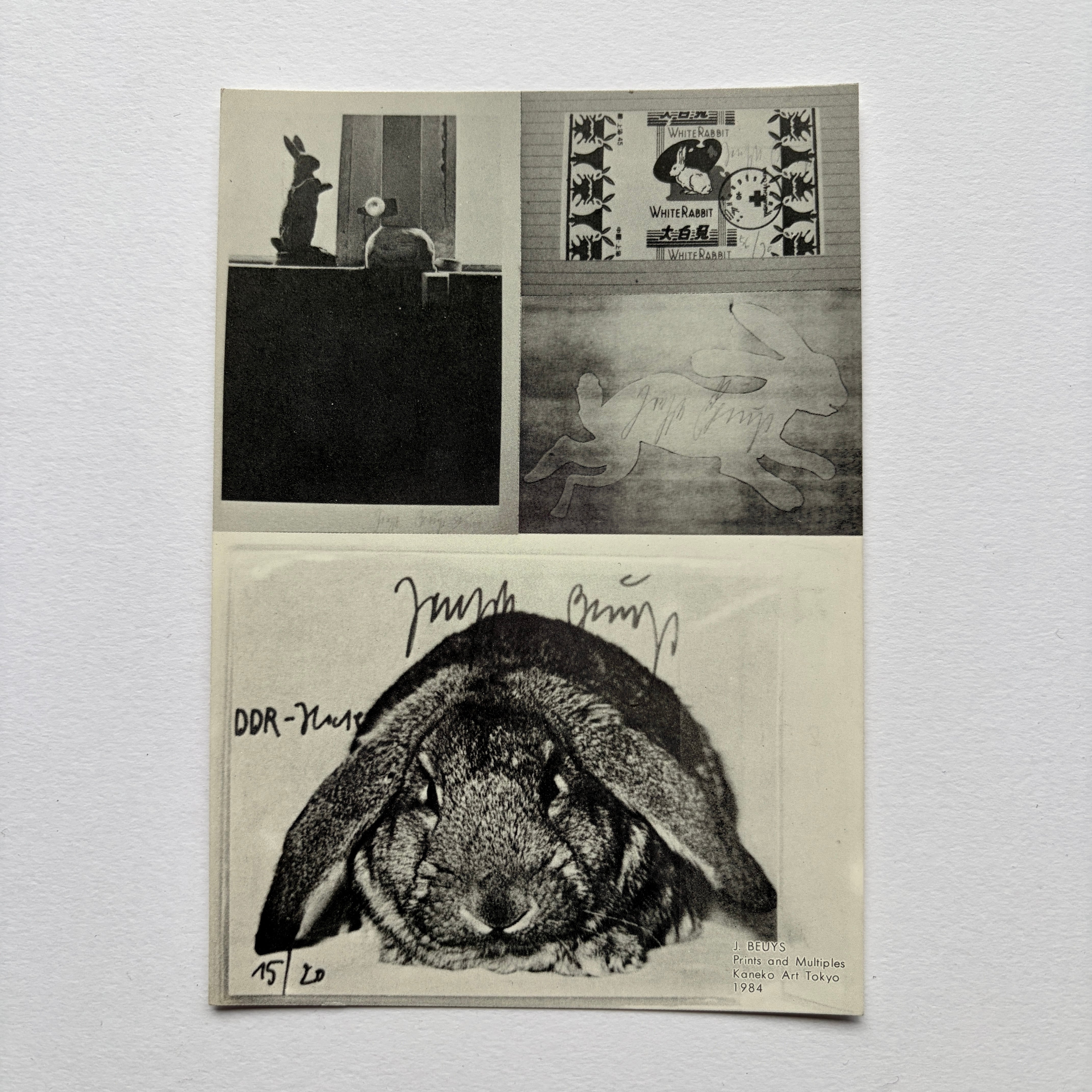 【 エフェメラ 】Joseph Beuys ヨーゼフ・ボイス展　版画とマルチプル かねこ・あーと　ギャラリー　1984　 [3100203]