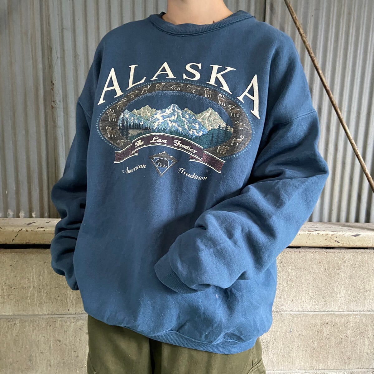 Hanes ヘインズ ALASKA プリント スウェット メンズL 古着 アニマル柄 