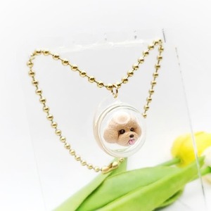 Clear case Pet Necklace(クリアケース うちの子Pet迷子ネックレス)/ hara