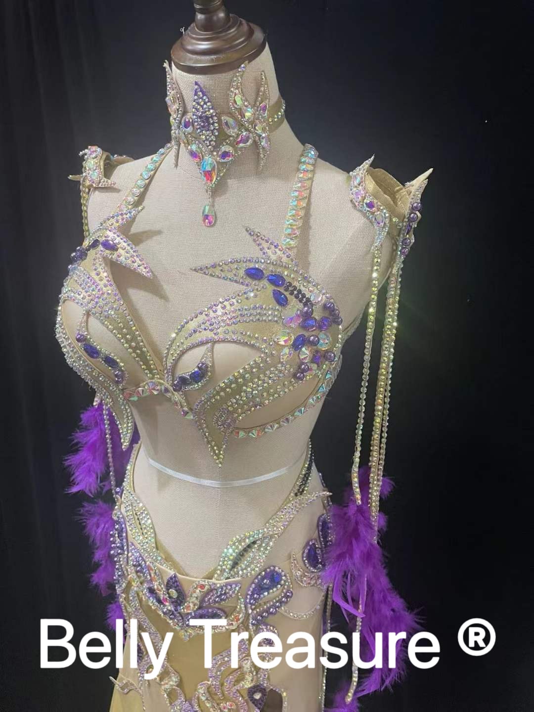ベリーダンス オーダーメイド衣装 LY 2391 202401 | Belly Treasure®︎