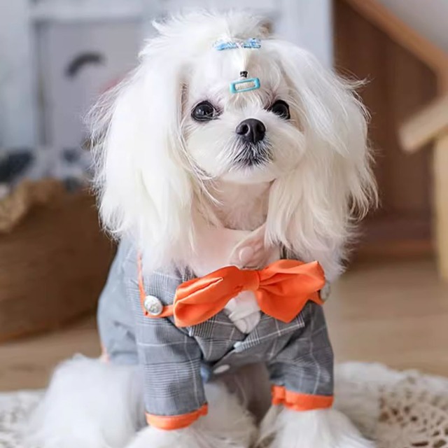 【海外ハンドメイド】オレンジアクセントのグレースーツ　犬服　00293