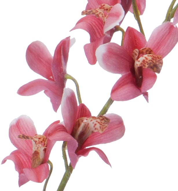 レディーデンファレ　レッド系　FA-6917MAV　4961823636998　造花（アーティフィシャルフラワー） > 定番造花フラワー（素材）