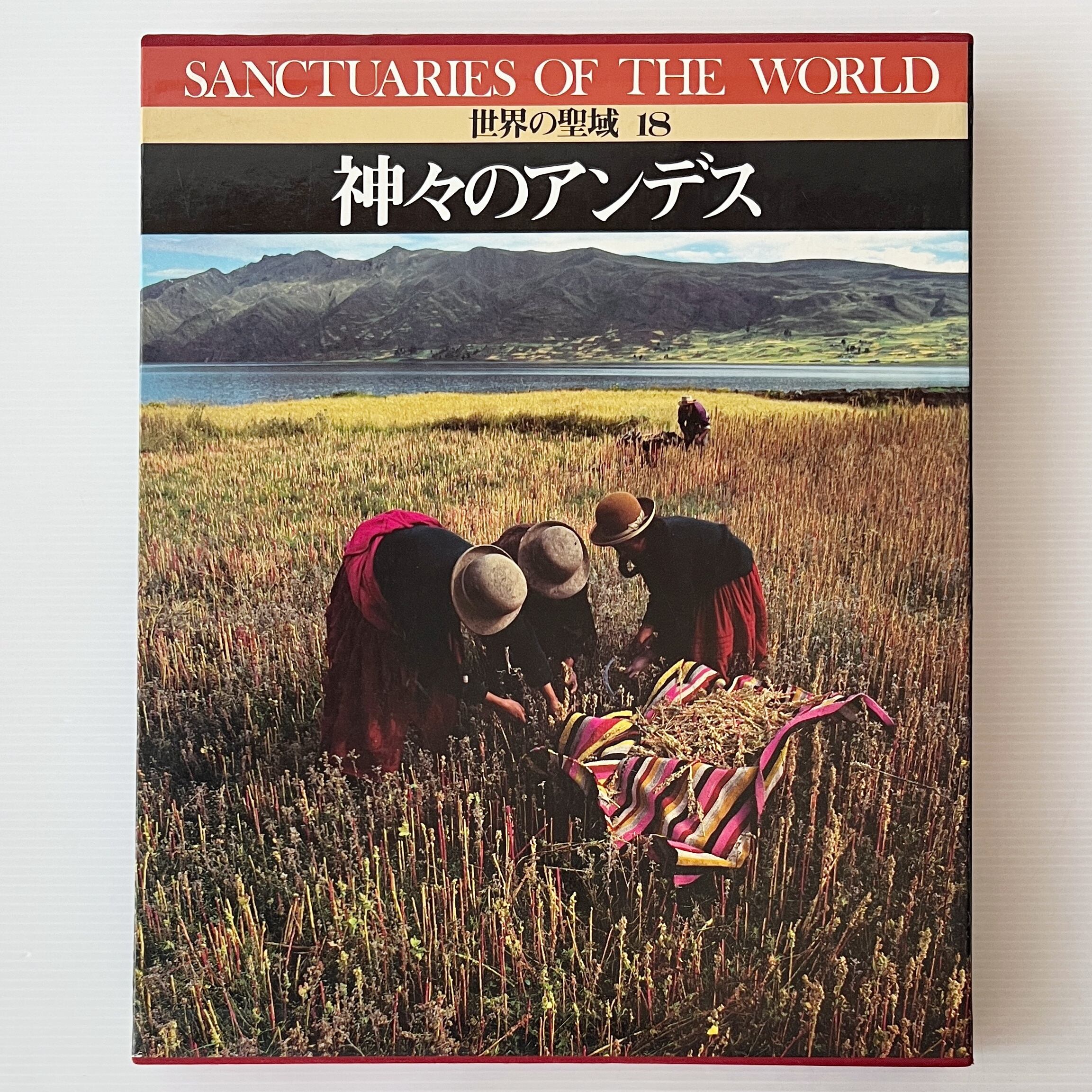 贈与と聖物 : マルセル・モース「贈与論」とマダガスカルの社会的実践