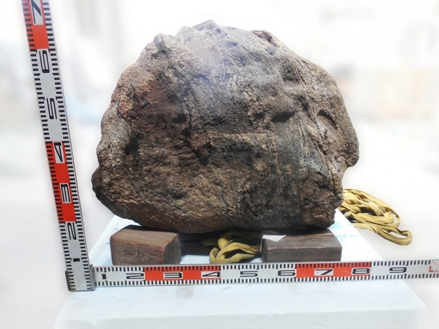 356 kg！超巨大！【南極の石】南極・セールロンダーネ山脈産/片麻岩/花崗岩/昭和基地