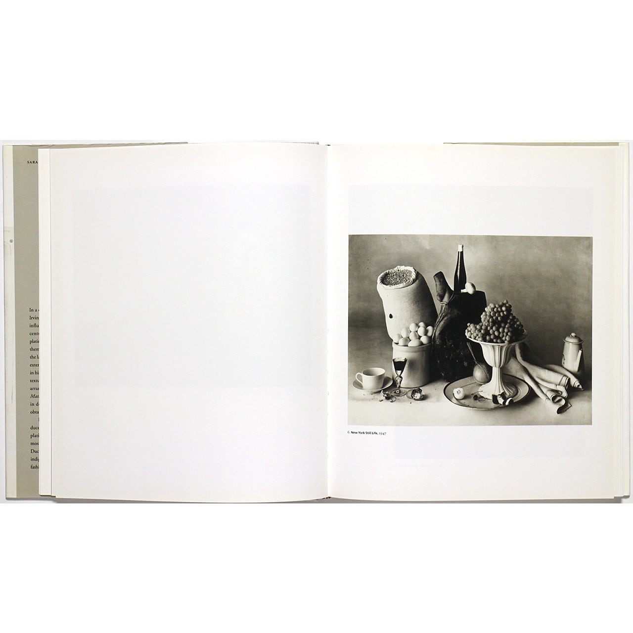 Irving Penn: Platinum Prints アーヴィング・ペン：プラチナ