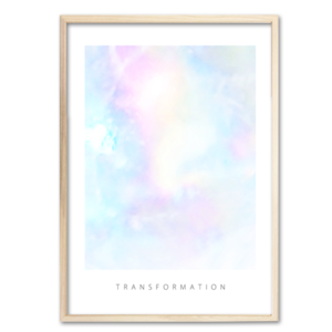 「変容／Transformation」