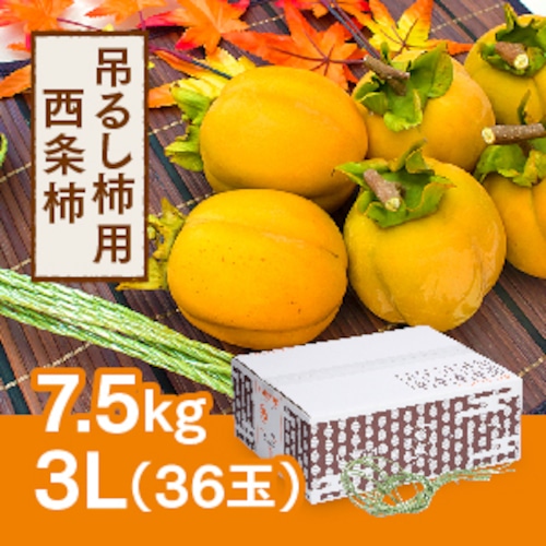 吊るし柿用西条柿 3L 36玉（7.5ｋｇ）  吊るし紐付き【2023年11月以降発送開始】