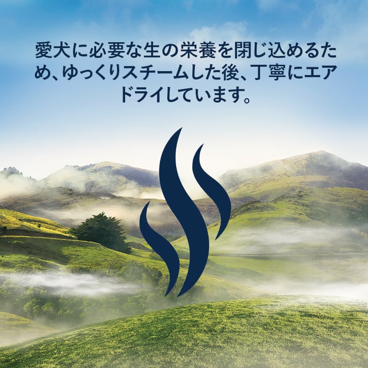 お試し】ZIWI Peak サンプル 30g×6袋 スチーム＆ドライ