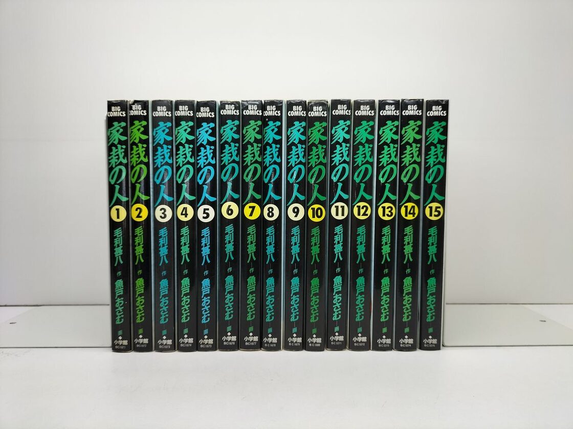 家栽の人 魚戸おさむ [1-15巻 漫画全巻セット/完結] 家裁の人 かさいの 