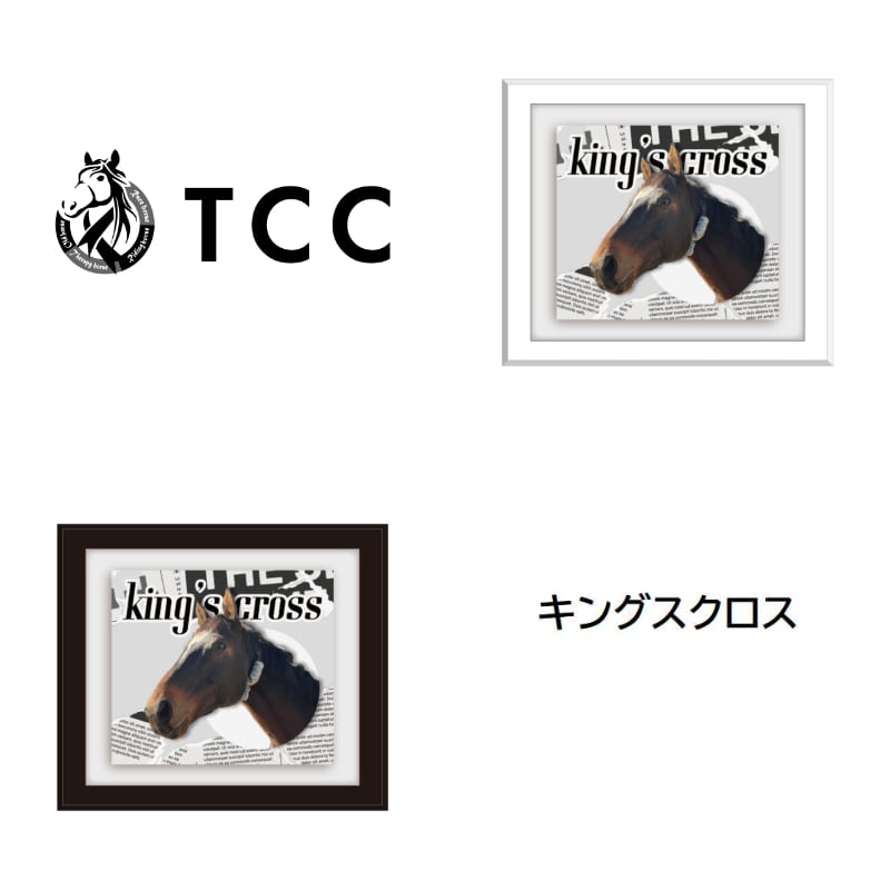 本鼈甲　馬　額装 TCC x 馬Site TCCホース額縁マグネット ア～カ行 | TCC ONLINE STORE