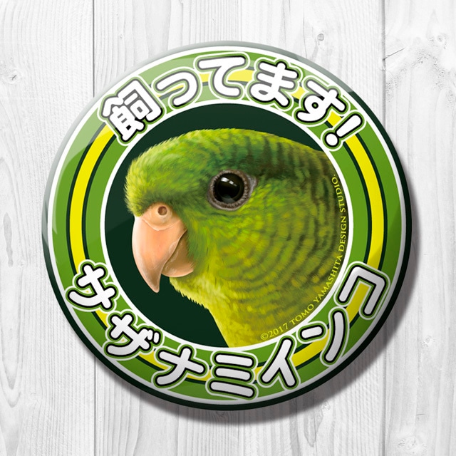 飼ってます缶バッジ　「サザナミインコ」