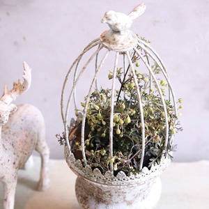 mondimanche ブリキ植木鉢　カージカップポットS W　UF651|1~2ポット植え込みのシャビーシックな鉢　お玄関がオシャレに変わります