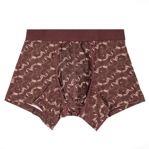 Boxer Briefs / BORDEUX x GOLD