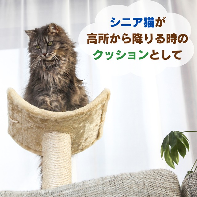 熊本県産い草100% お猫様専用ミニ畳 梅柄 | NIHONT〜にほんと〜