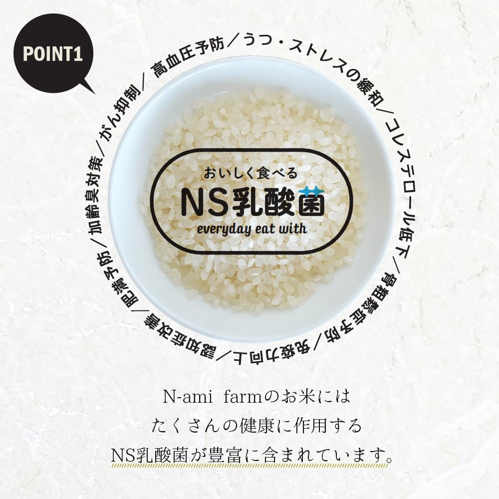 新米｜2025年宮崎県産コシヒカリ NS乳酸菌配合 20kg（上白米） 新米