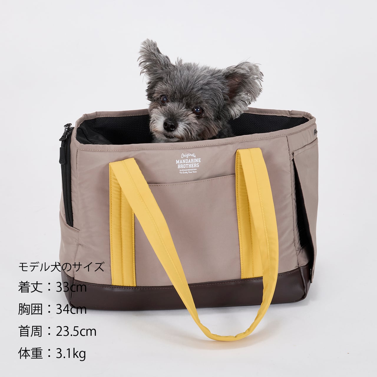 CUSHION MINI BAG クッションミニバッグ | MANDARINE BROTHERS