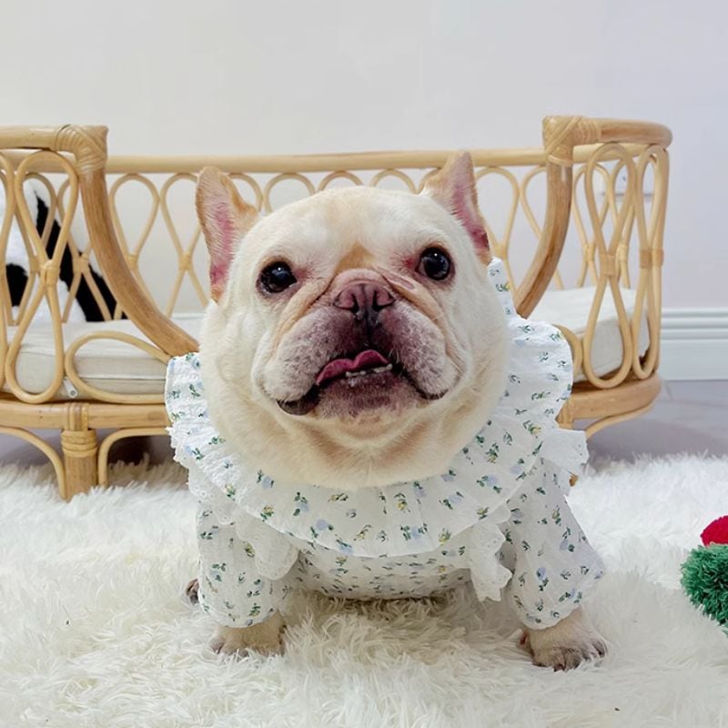 ハンドメイド犬服小花柄ニットのヒラヒラお袖キャミワンピお袖2段レース付