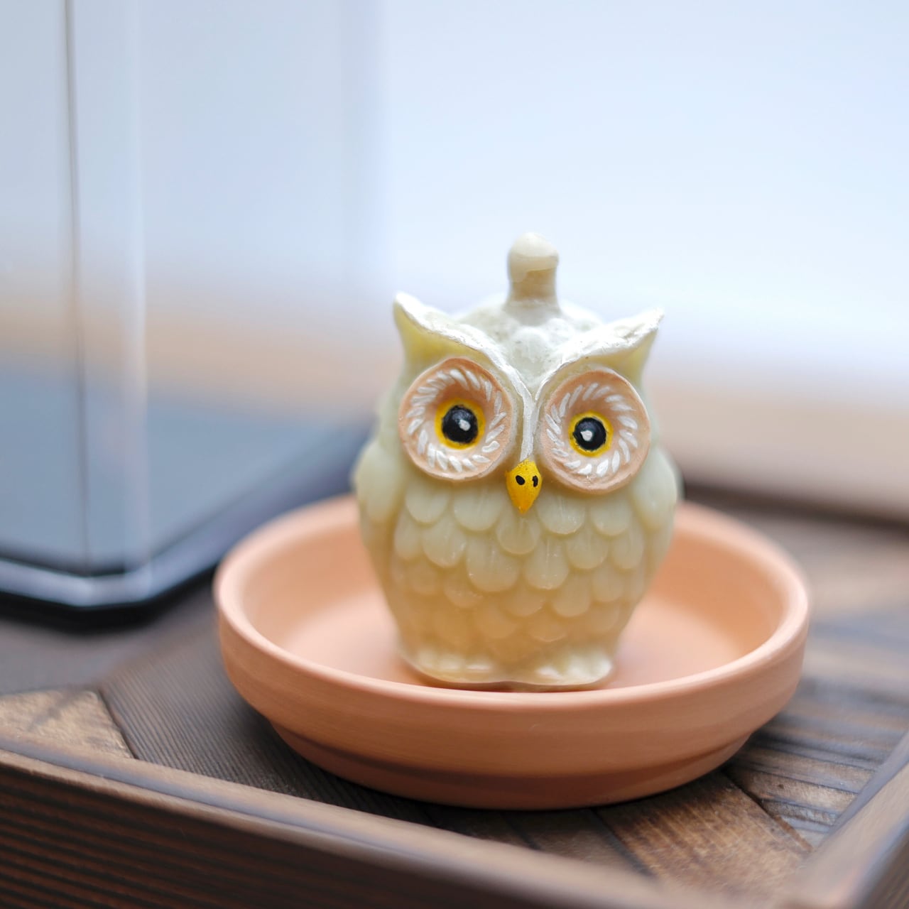 7a57edcc7cd7d9dba8b05fd04a62c0