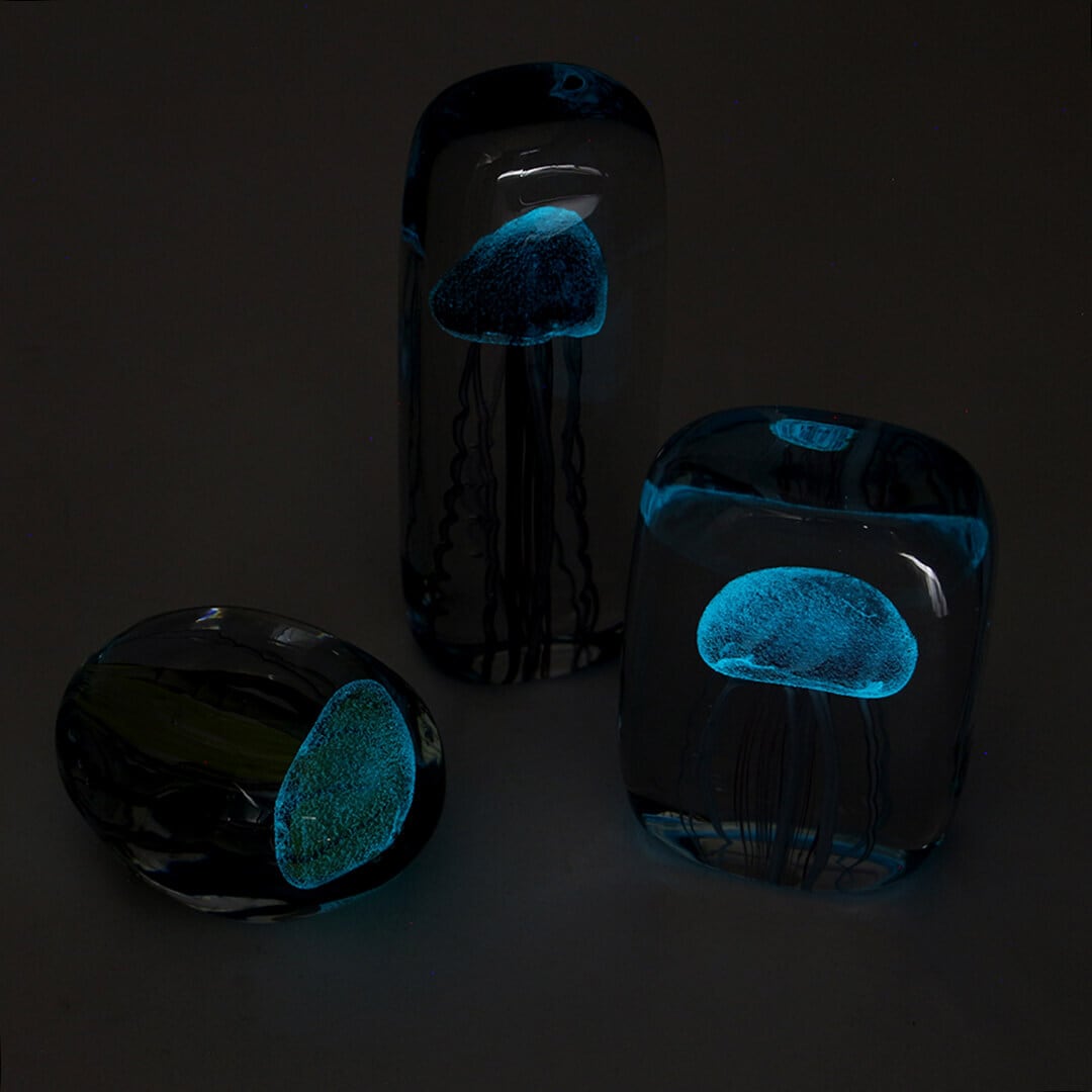 HERE by DETAIL / Jellyfish Twisted Leg 