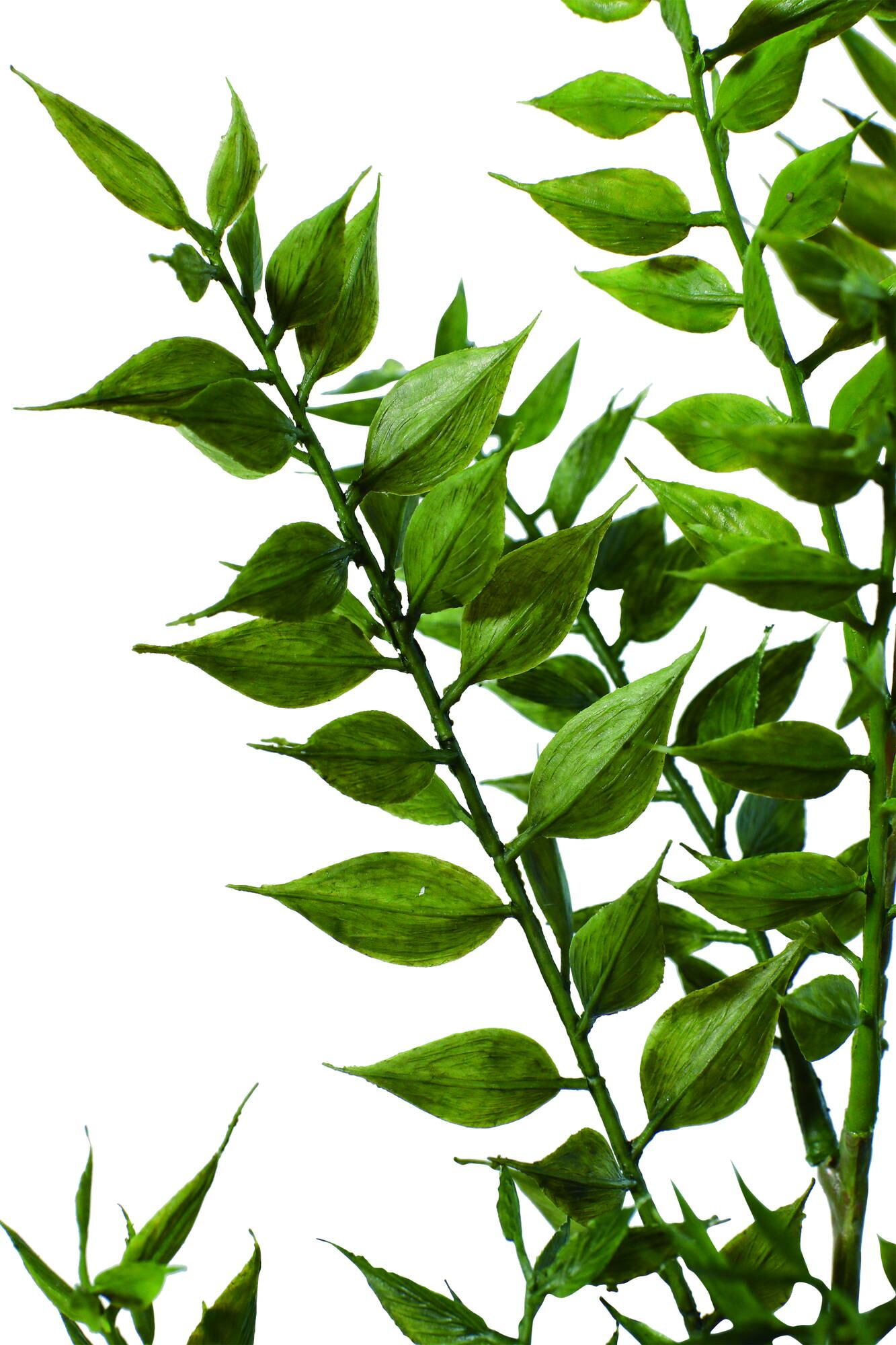 フレッシュルスカススプレー　　FG-5184GR　4961823411182　造花（アーティフィシャルフラワー） > 定番造花グリーン（素材）