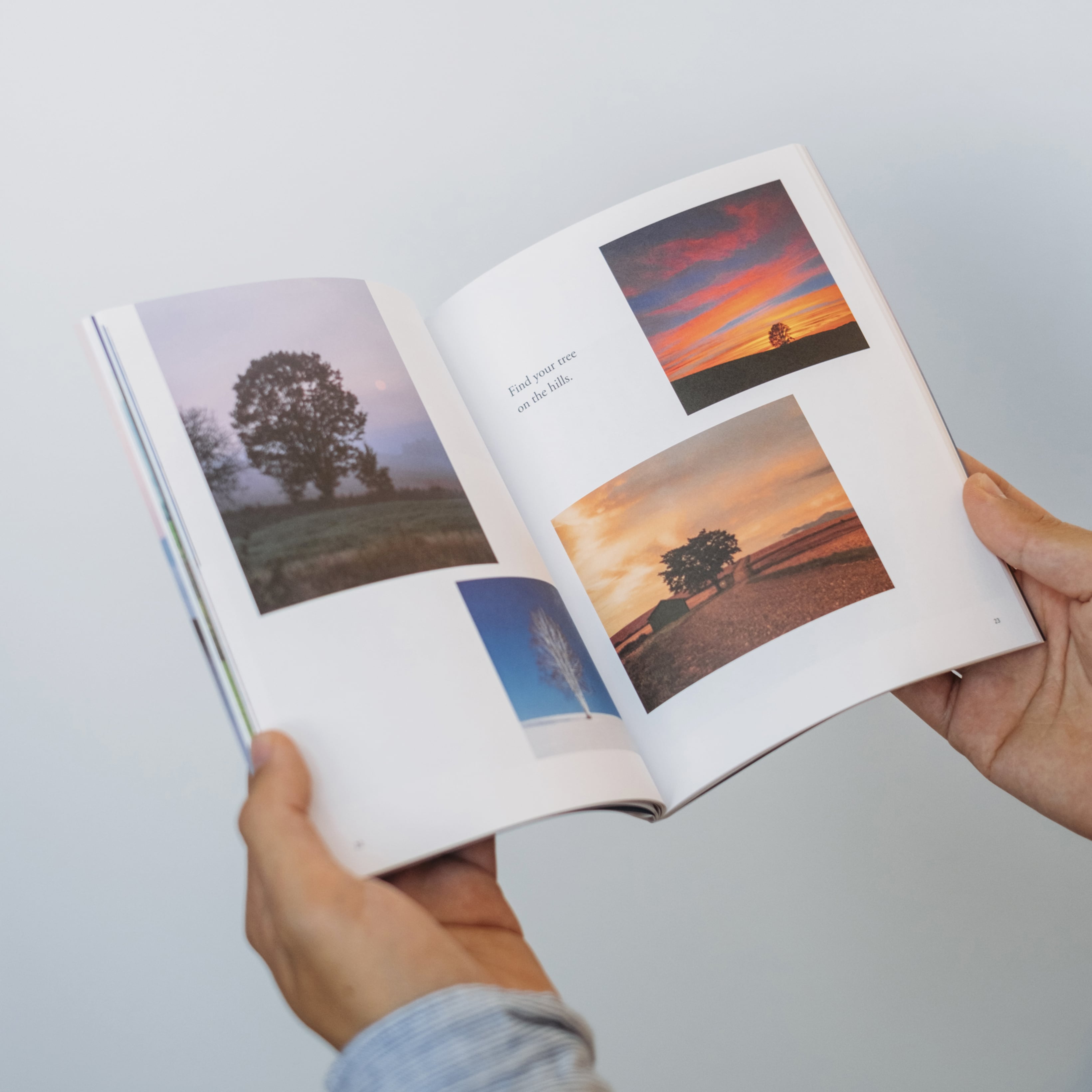 Trees on the Hills」公式図録 | 拓真館 TAKUSHINKAN
