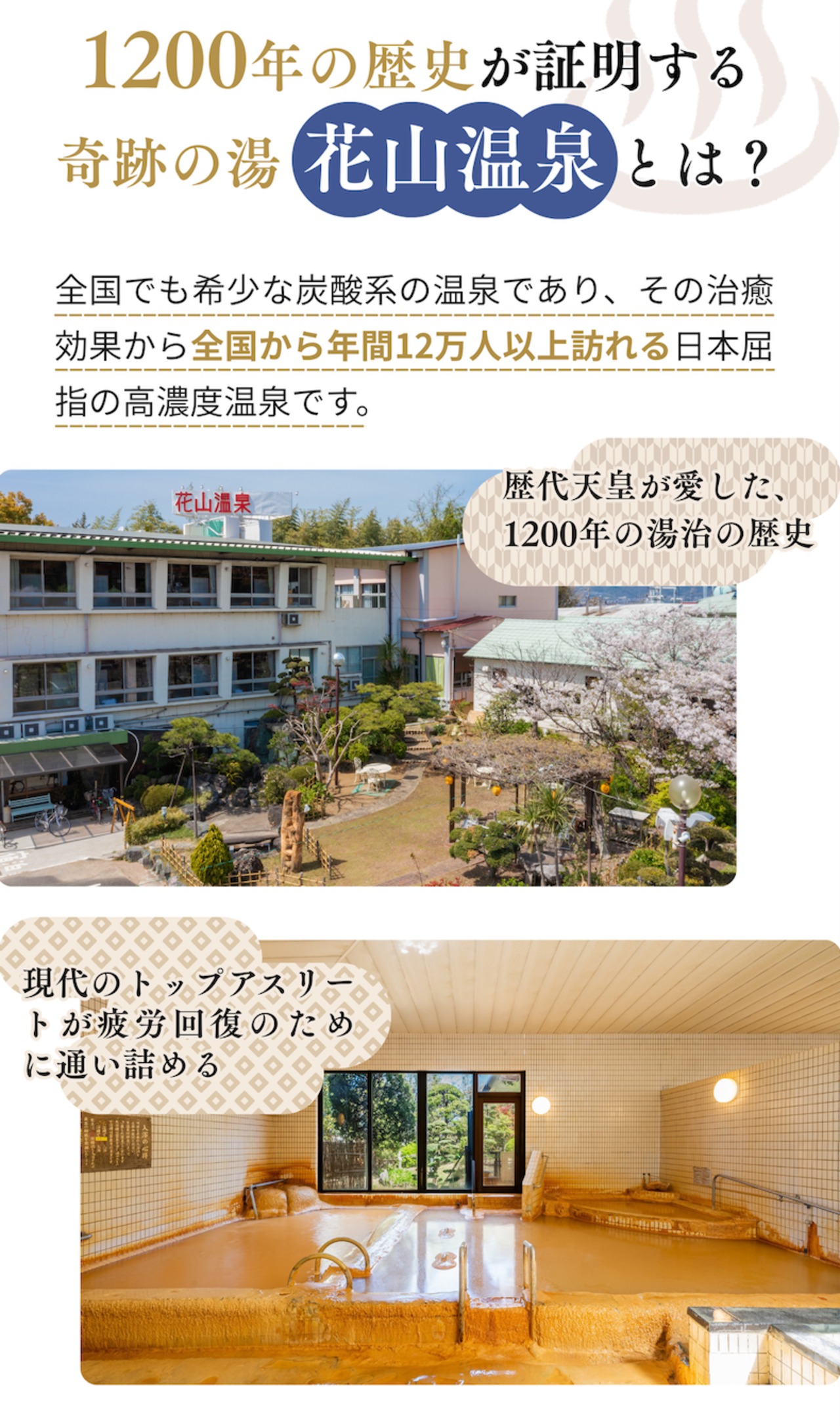 【湯シュラン認定記念】花山温泉「薬師の湯」炭酸タブレット｜お試し3個セット・990円・送料無料
